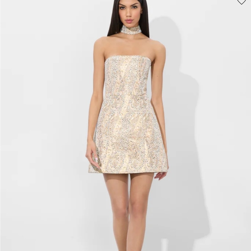 Alice + Olivia Gold and Cream Dress with Choker